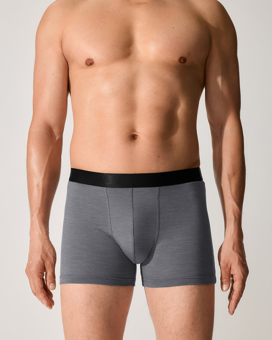 3 × herrboxershorts i merinoblandning i gråmelerad färg handla nu — cdlp