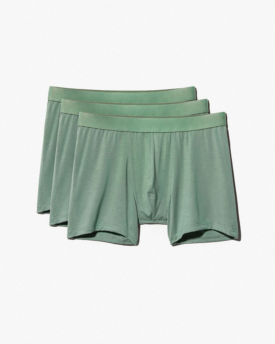 12 × herrboxershorts i salvia handla nu — cdlp