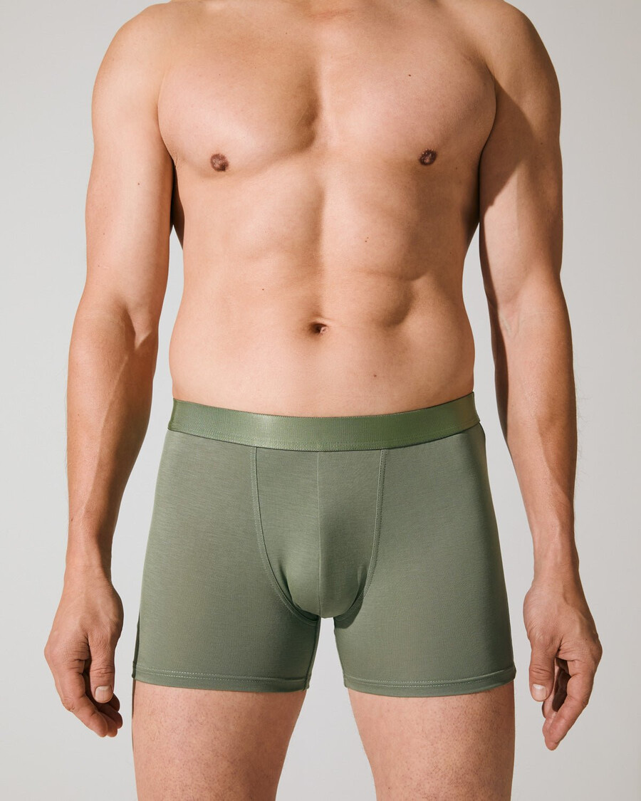 12 × herrboxershorts i salvia handla nu — cdlp