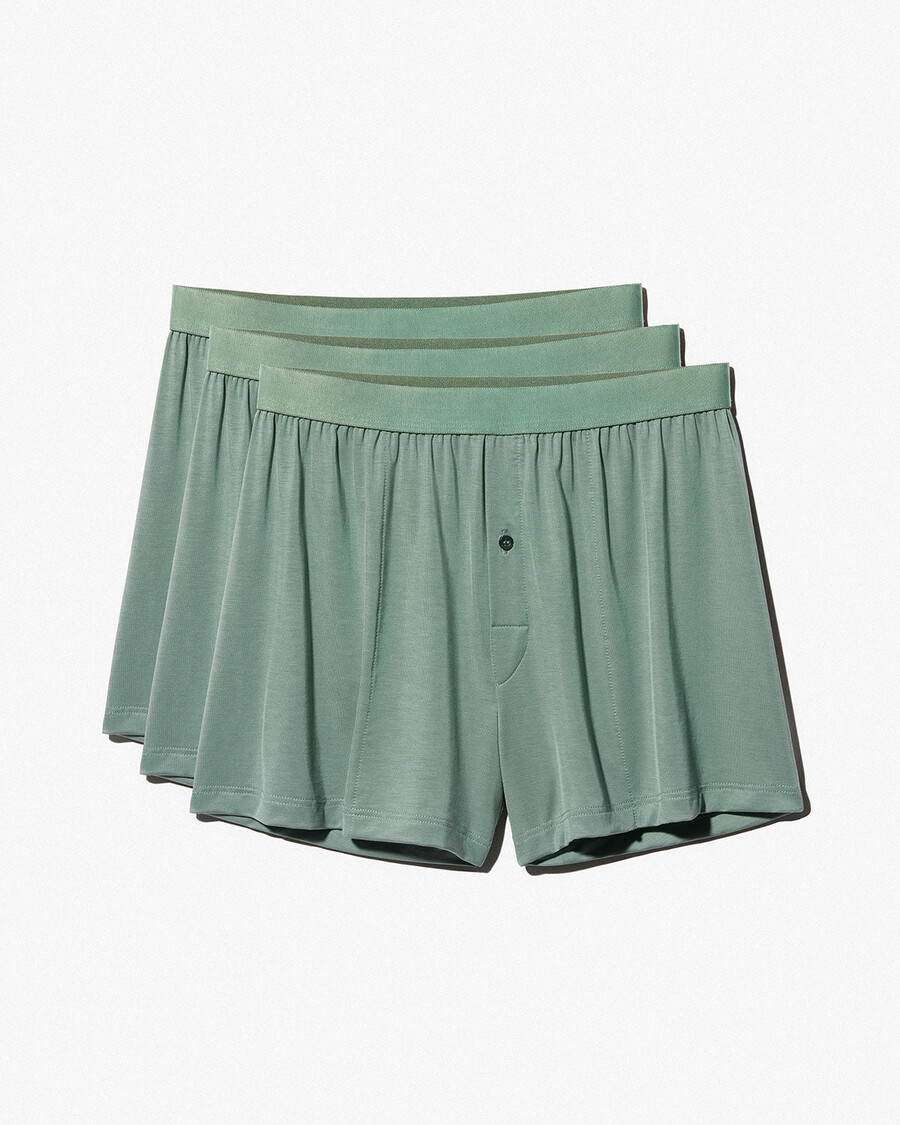3 × herrboxershorts i salvia handla nu — cdlp