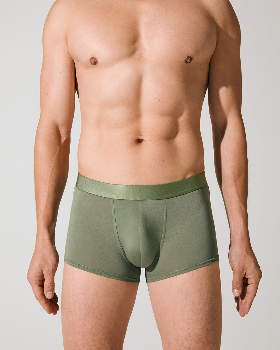 3 × herr boxer trunk i salvia handla nu — cdlp